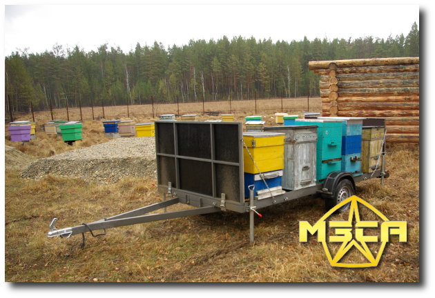 Самодельный легковой прицеп для пчел Самодельный легковой прицеп для пчел